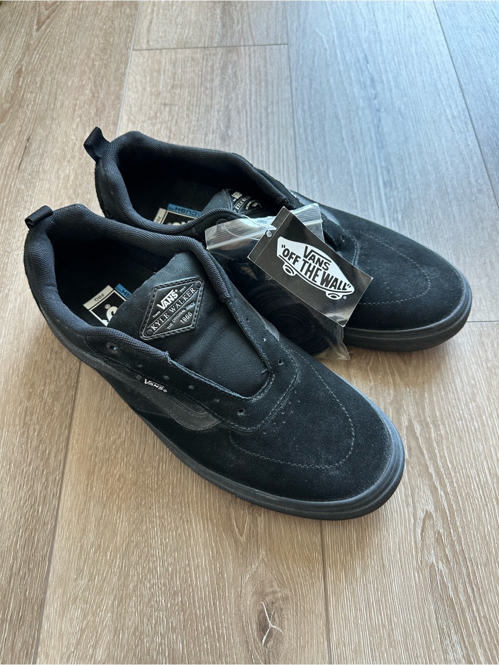 Vans Black Suede Low-Top Skate Sneakers